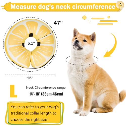 Inflatable Dog Cone Collar for Large Medium Small Dogs (Lemon / L（neck 14"-18"）)
