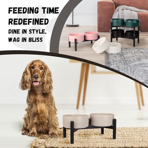 Raised Ceramic Dog Bowl Set with Stand (Light Gray / 2 Bowls - 3.5 Cups Each)