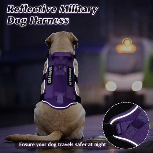 Escape Proof Dog Harness with Double Handle+4 Removable Patches (Large / Purple)