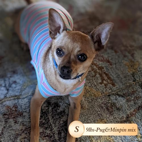 2Pack Cotton Dog Shirt for Small Dogs Soft Striped Tank Top (Small (4-7lbs) / 05# 2Pack (Green+Striped))