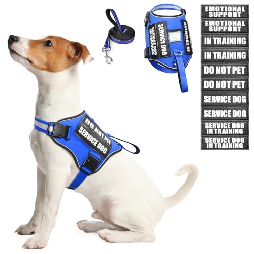 Dog Harness & Leash Set (Small / Blue)