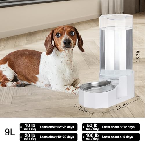 9L Large Dog Water Dispenser (White / 9L With Filter)