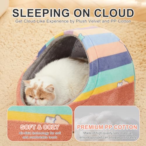 Cute Cat Beds for Indoor Cats (Medium / Rainbow)