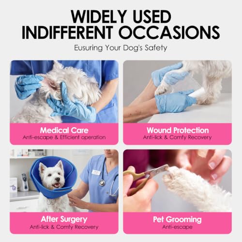 Soft Dog Cone (Blue / Large)