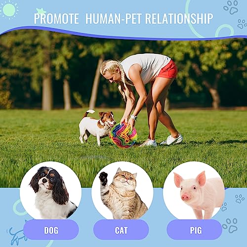 Pet Snuffle Ball (New rainbow color / 15cm)