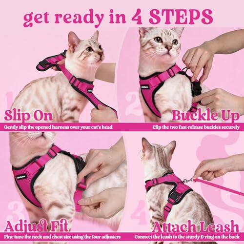 Cat Harness and Leash Set (Xxs / Rose Red)