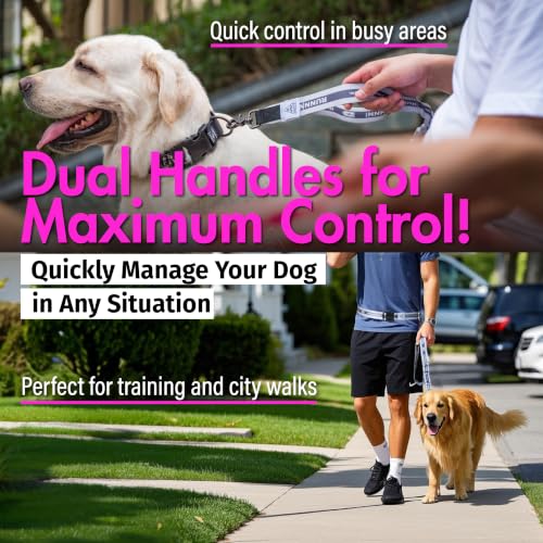Hands Free Dog Leash (Pink)