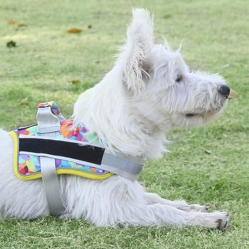 Dog Harness No (Medium (Pack of 1) / Watercolour)