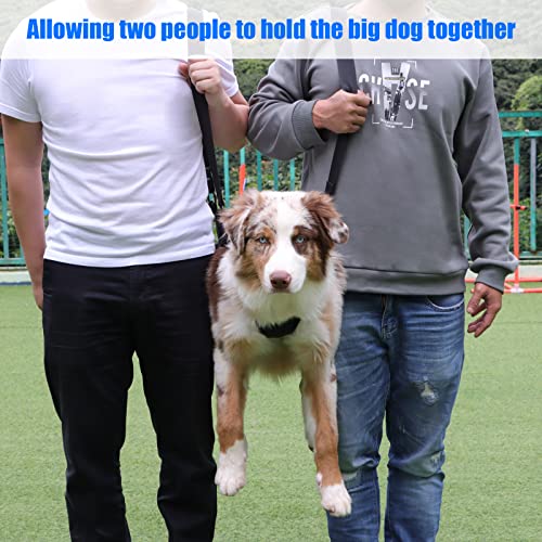 Dog Carry Sling (Blue / L)