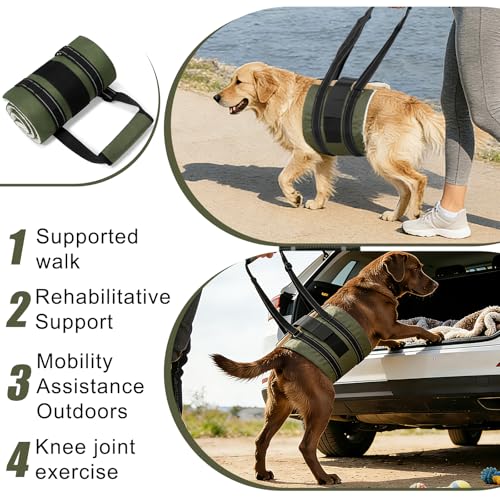 Dog Sling Adjustable Dog Lift Harness (F001-Army Green / L)