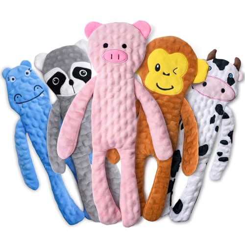 No Stuffing Dog Toys 5 Pack (For Small Breed / 5 Pack - Variety)