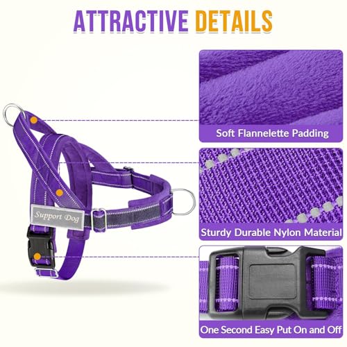 No Pull Dog Harness and Leash Set (Purple / X-Large)