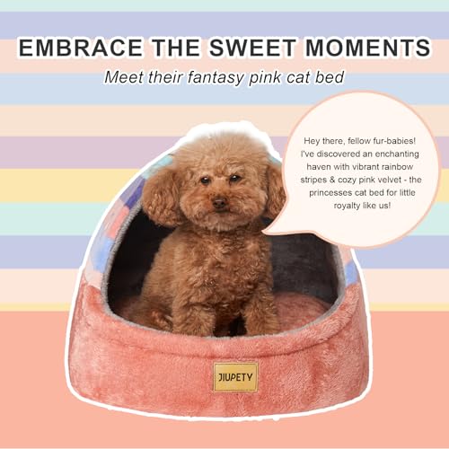 Cute Cat Beds for Indoor Cats (Large / Rainbow)