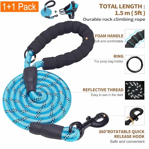 Essential Dog Harness (XL / Blue)