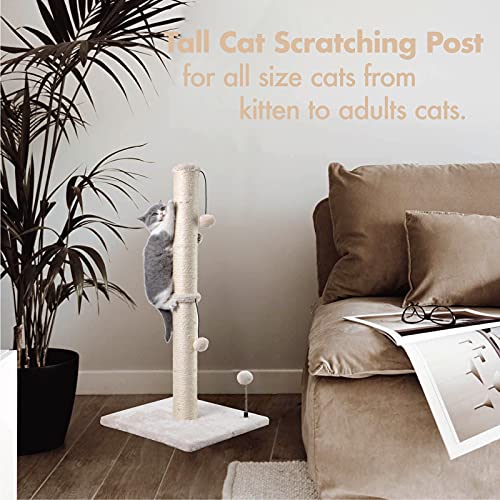 34” Tall Cat Scratching Post Premium Basics Kitten Scratcher Sisal Scratch Posts Trees with Hanging Ball for Indoor Cats (34 inches for Adult Cats / Beige)