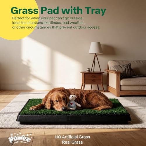 Dog Grass Pad with Tray (Large)