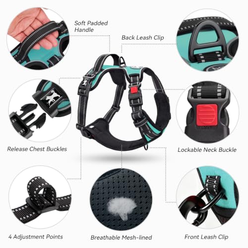 No Pull Dog Harness Large with Front Clip & Neck Release Buckle (XL / Mint Blue)