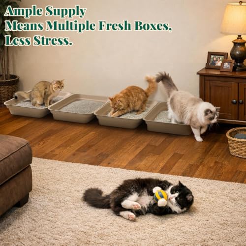 10 Pack Disposable Litter Box for Kitty Cats