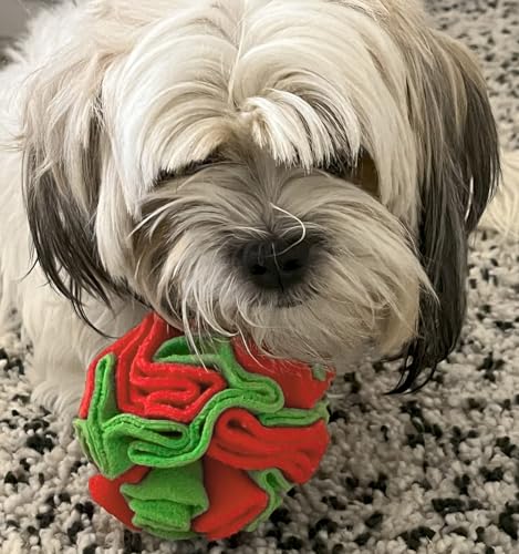 Small Breed Snuffle Ball Foraging Dog Toy Christmas Green (Red and Green / Small)