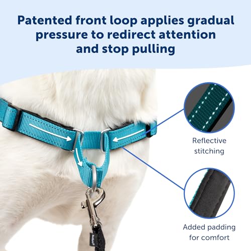 Easy Walk Deluxe Dog Harness (Medium/Large / Ocean)