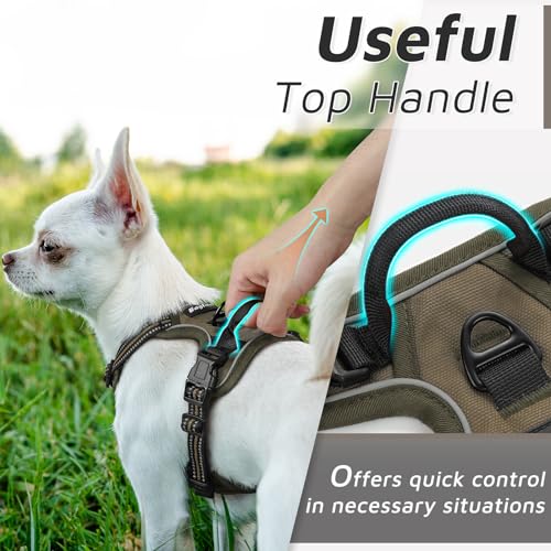 Dog Harness for Small Dogs (X-Small / Brown)