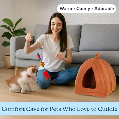 Cat House Indoor Cat Bed with Removable Foam Cushion (Brown)