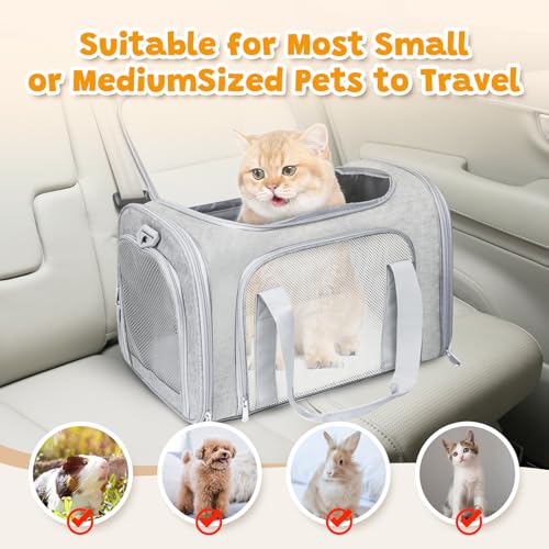 Cat Carrier Soft Up to 16 Lbs (17.0"L x 11.0"W x 11.0"H / Grey)