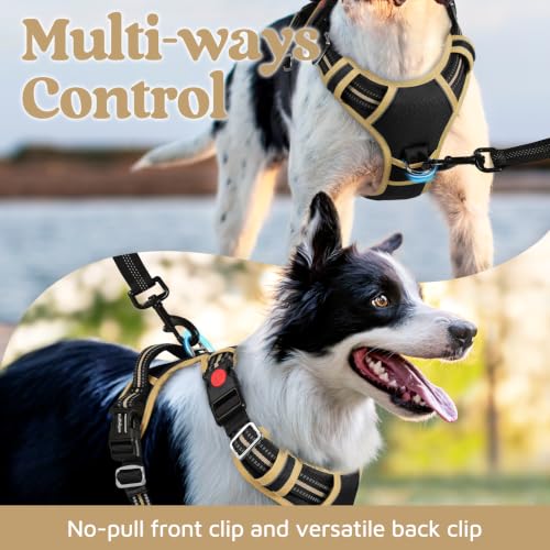 Dog Harness Medium Sized (Black & Khaki / Medium)