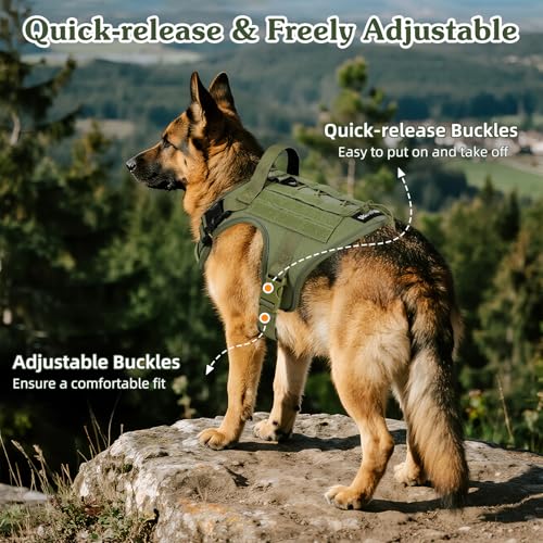 Heavy Duty Tactical Dog Harness for Small Dogs (Army Green / S (Chest: 19.6-31.5", Neck: 11-19.6"))