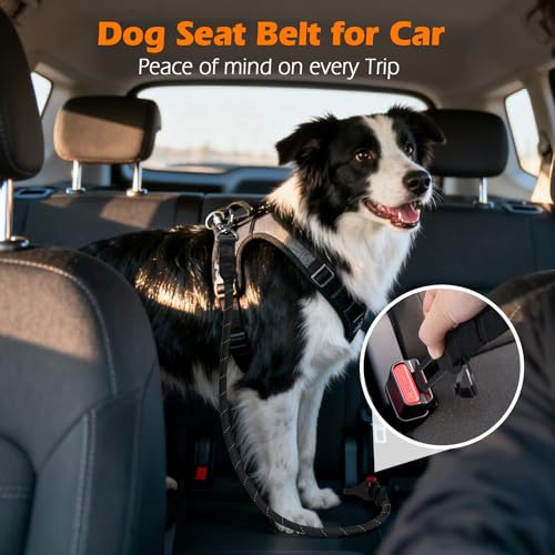 2 Packs Dog Seat Belt for Car (Black, Black / 2 Packs)