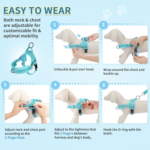 No Pull Small Dog Harness and Leash Set with Front Clip (X-Small / Teal)