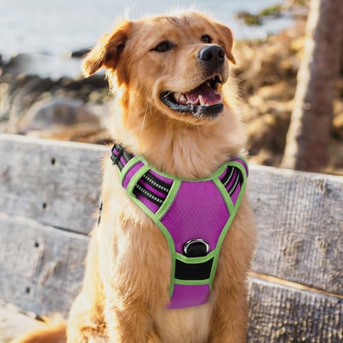 Dog Harness for Large (Purple & Light Green / X-Large)