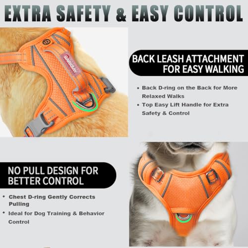Dog Harness for Small Sized Dog No Pull Dog Vest ID Tag Pocket (Orange / X-Small)
