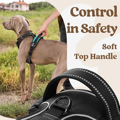 Dog Harness for Large (Large / Black)