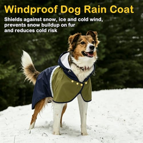Dog Raincoat Jacket (Blue / Small)