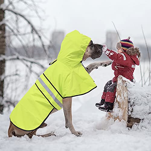 Dog Raincoat Reflective Pet Rain Jacket for Dogs (Neon Green / X-Large)