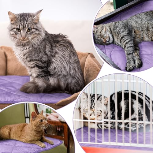 4 Pack Self Heating Cat Pad Self Warming Dog Mat Reflects Body Heat Extra Warm Thermal Pet Pad Washable Dog Cat Bed Crate Bed Mat Blanket (16 x 20 Inch / Purple)