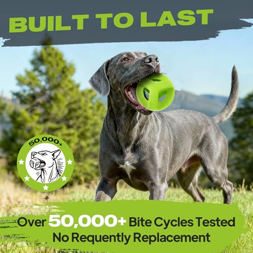 Natural Rubber Dog Balls for Aggressive Chewers (Meadow Green / Medium)