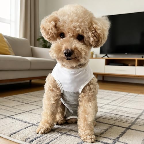 Dog Surgical Suit (Medium / grey and white)