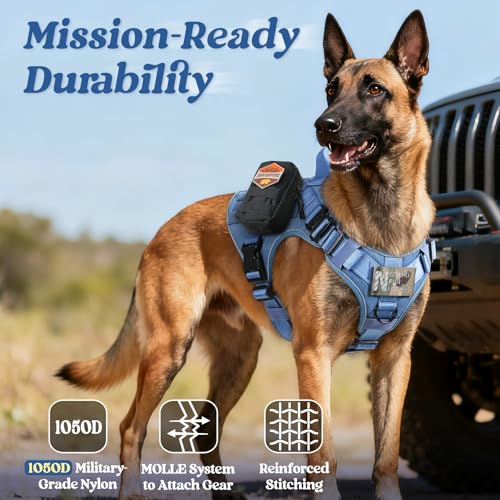 Tactical Dog Harness for Medium (Blue Reflex / Medium)