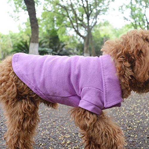Basic Dog Polo Shirts Premium Cotton (L (-18lbs) / Violet)