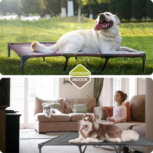 Elevated Dog Bed Waterproof Outdoor (L (36"L x 30"W x 7"H) / Grey)
