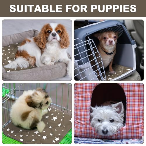 4 Pack Self Warming Cat Bed Self Heating Cat Mat Star Pattern Soft Dog Crate Pad Thermal Pet Mat Anti Slip Kennel Dog Washable Warming Bed for Outdoor Indoor (12 x 12 Inch / Brown)