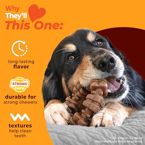 Strong Chew Ring Dog Chew Toy Made with Real Beef & Chicken (Textured Ring / X-Large)