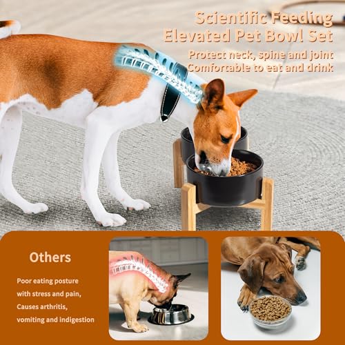 Elevated Ceramic Dog Bowl (Black / Medium)
