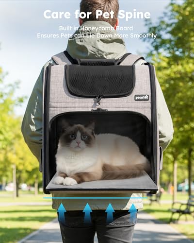 Cat Backpack Expandable (Brown / 15.4"L x 11.0"W x 19.0"H)