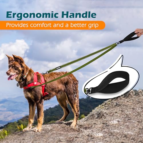 Two Point Control Dog Leash (Khaki Green)