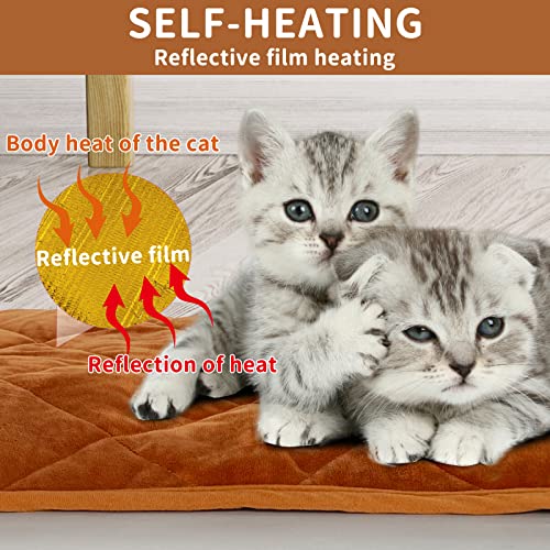 Self Warming Cat Bed Indoor (35x23 IN / Brown)