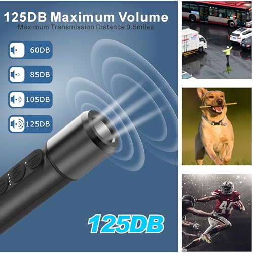 Electronic Whistle Set of 2 (Black)