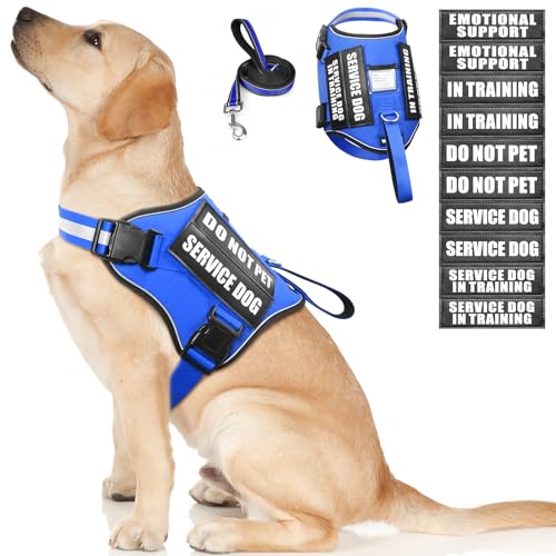Service Dog Harness and Leash Set (Large / Blue)